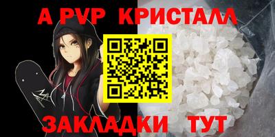 стафф Моздок